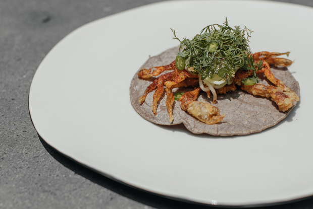 Pujol-LATAM-2018-DISH1